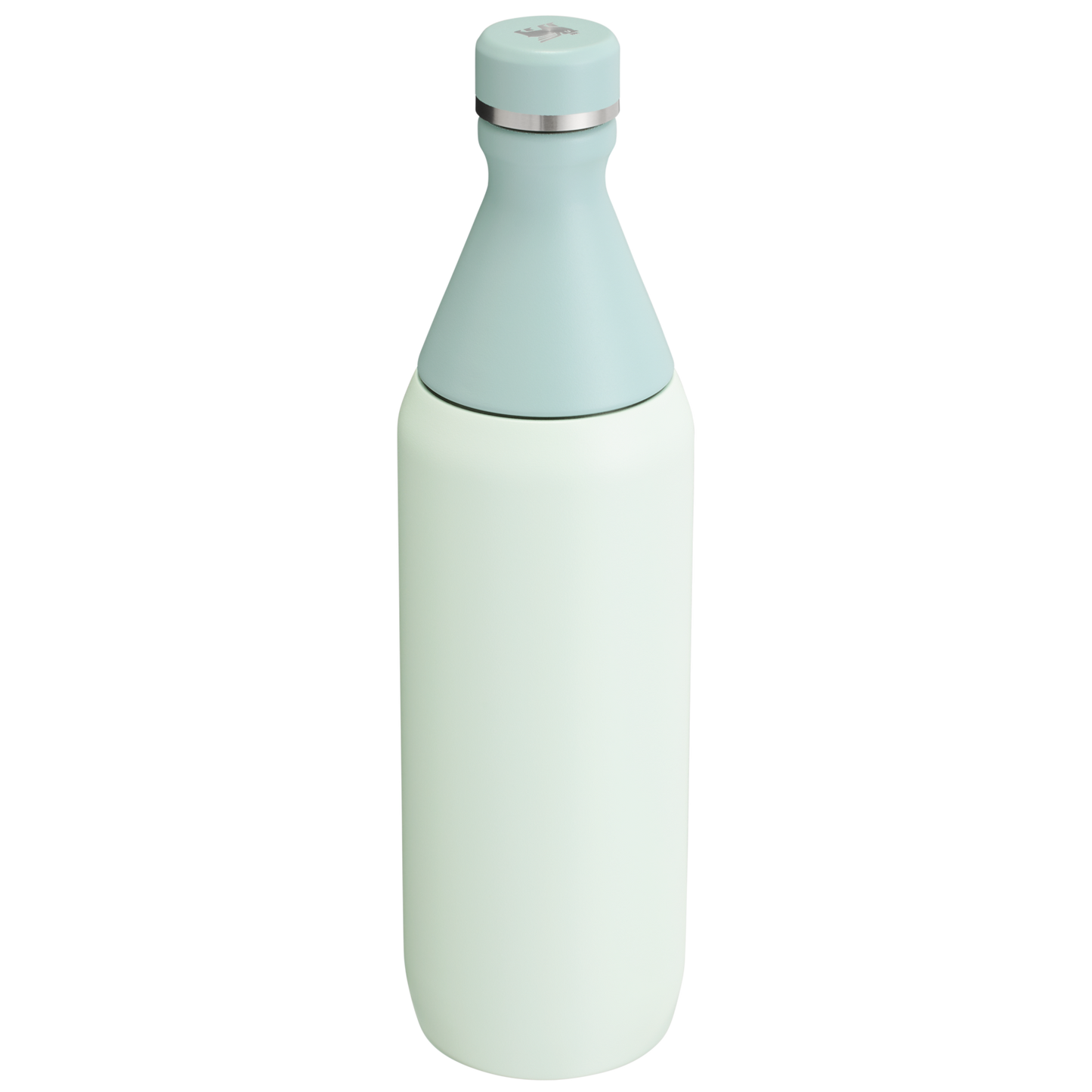 ALL DAY SLIM BOTTLE | 20 OZ