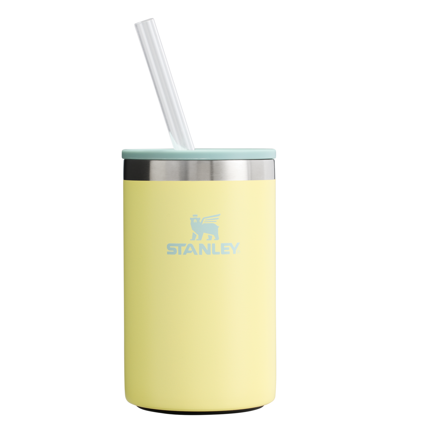 THE EVERYDAY CAN COOLER CUP | 10 OZ