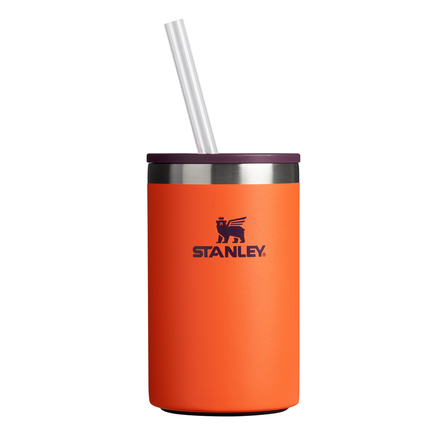 THE EVERYDAY CAN COOLER CUP | 10 OZ