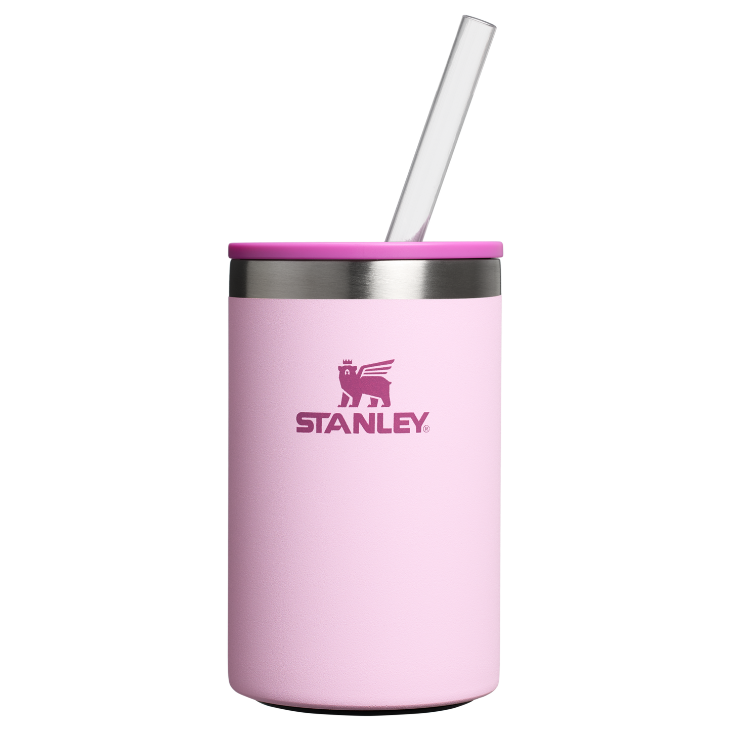 THE EVERYDAY CAN COOLER CUP | 10 OZ