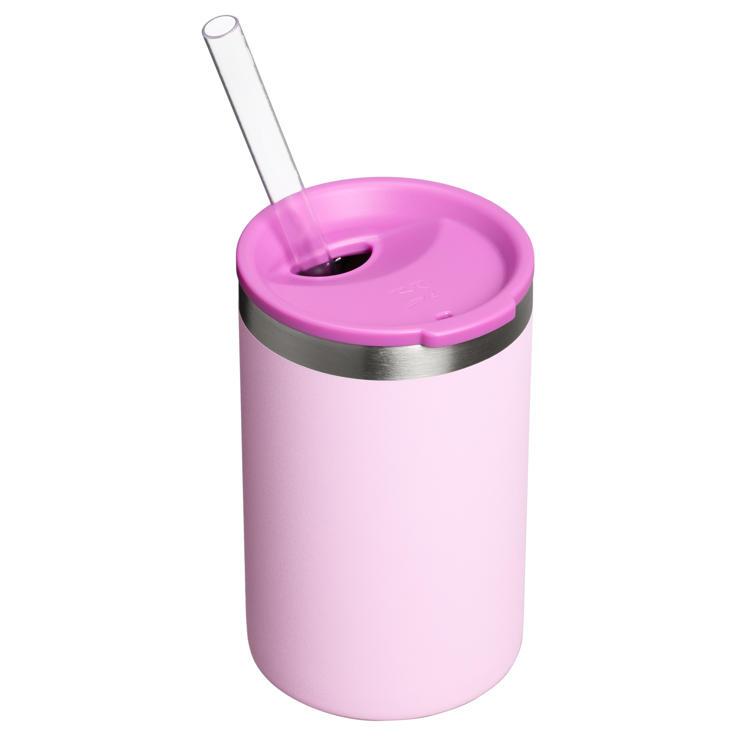 THE EVERYDAY CAN COOLER CUP | 10 OZ