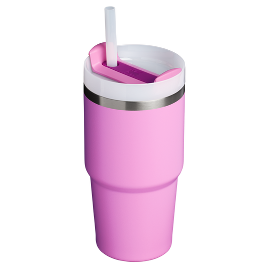 THE QUENCHER H2.0 FLOWSTATE™ TUMBLER | 20 OZ