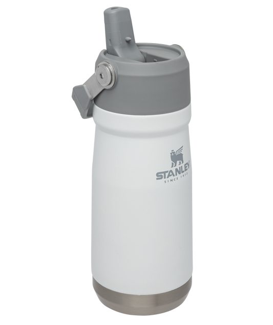 THE ICEFLOW™ FLIP STRAW WATER BOTTLE | 17 OZ