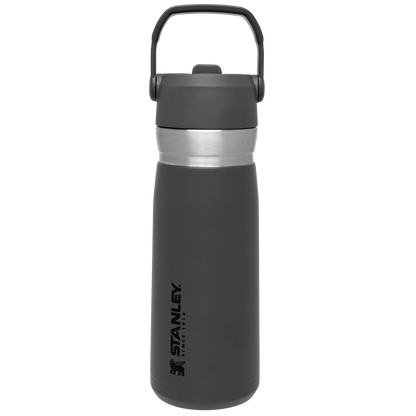 THE GO FLIP STRAW WATER BOTTLE | 22 OZ
