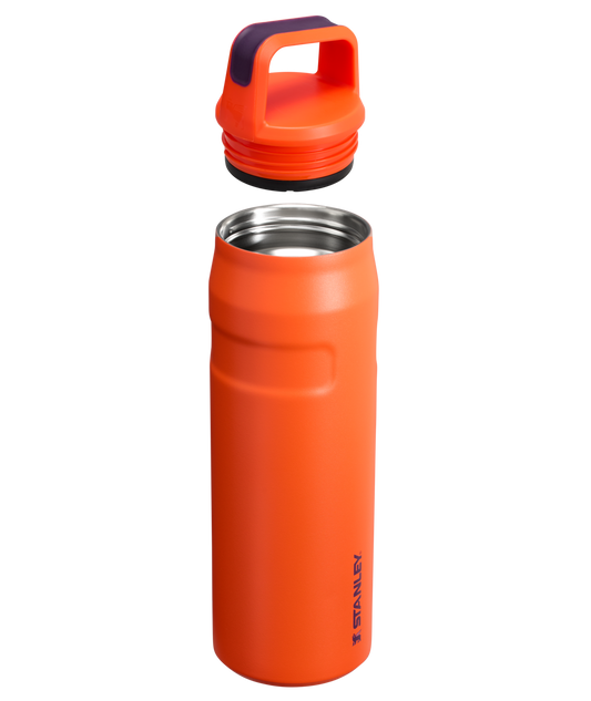 ICEFLOW™ BOTTLE WITH CAP AND CARRY+ LID | 24 OZ