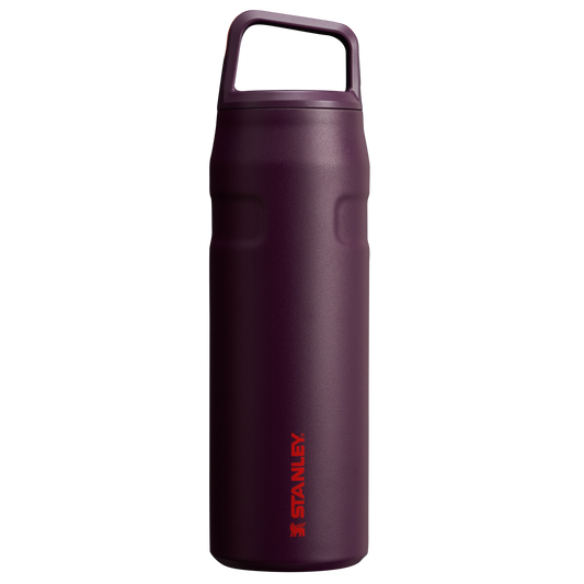 ICEFLOW™ BOTTLE WITH CAP AND CARRY+ LID | 24 OZ