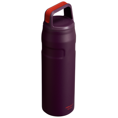 ICEFLOW™ BOTTLE WITH CAP AND CARRY+ LID | 24 OZ