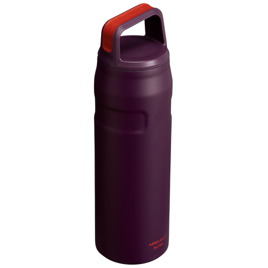 ICEFLOW™ BOTTLE WITH CAP AND CARRY+ LID | 24 OZ