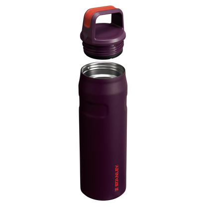 ICEFLOW™ BOTTLE WITH CAP AND CARRY+ LID | 24 OZ