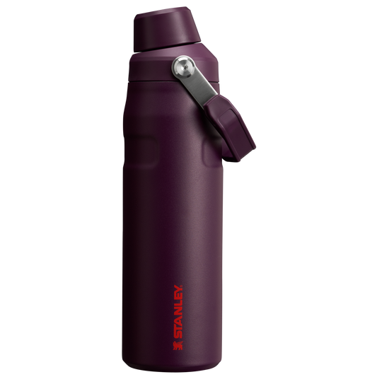 ICEFLOW™ BOTTLE WITH FAST FLOW LID | 24 OZ