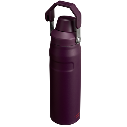 ICEFLOW™ BOTTLE WITH FAST FLOW LID | 24 OZ