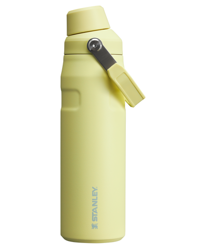 ICEFLOW™ BOTTLE WITH FAST FLOW LID | 24 OZ