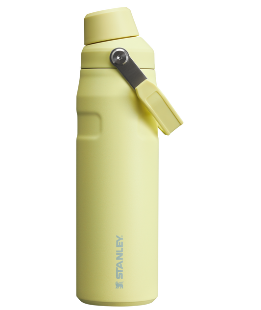 ICEFLOW™ BOTTLE WITH FAST FLOW LID | 24 OZ