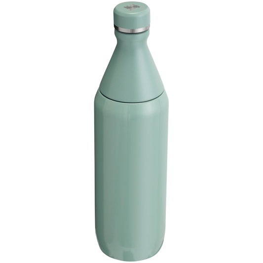 ALL DAY SLIM BOTTLE | 20 OZ
