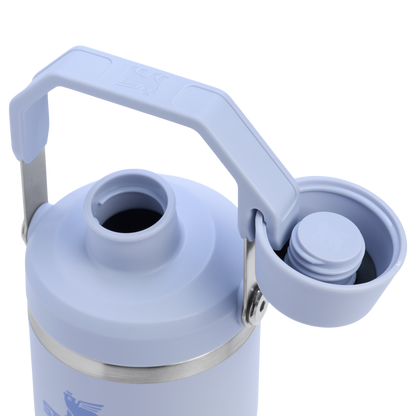 THE ICEFLOW™ TUMBLER WITH FAST FLOW LID | 20 OZ