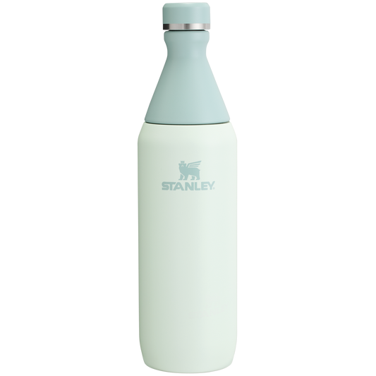 ALL DAY SLIM BOTTLE | 20 OZ