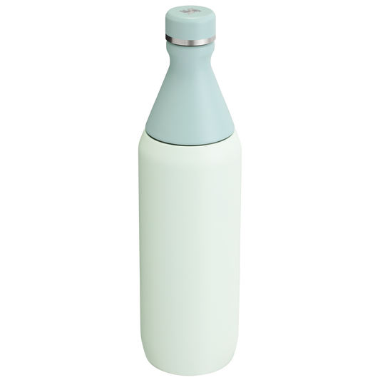 ALL DAY SLIM BOTTLE | 20 OZ