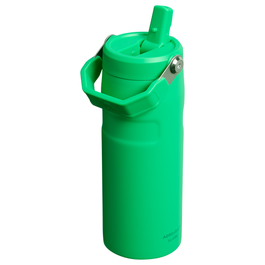 THE ICEFLOW™ BOTTLE WITH FLIP STRAW LID | 16 OZ