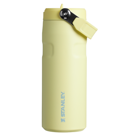 THE ICEFLOW™ BOTTLE WITH FLIP STRAW LID | 16 OZ