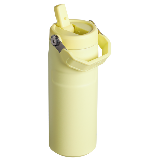 THE ICEFLOW™ BOTTLE WITH FLIP STRAW LID | 16 OZ