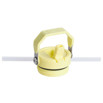 THE ICEFLOW™ BOTTLE WITH FLIP STRAW LID | 16 OZ