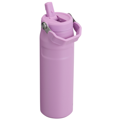 THE ICEFLOW™ BOTTLE WITH FLIP STRAW LID | 24 OZ