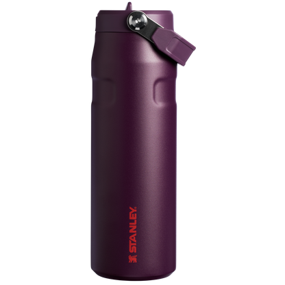 THE ICEFLOW™ BOTTLE WITH FLIP STRAW LID | 24 OZ
