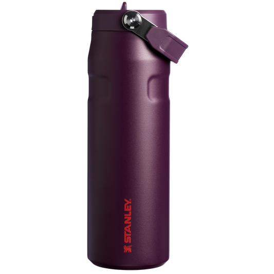 THE ICEFLOW™ BOTTLE WITH FLIP STRAW LID | 24 OZ