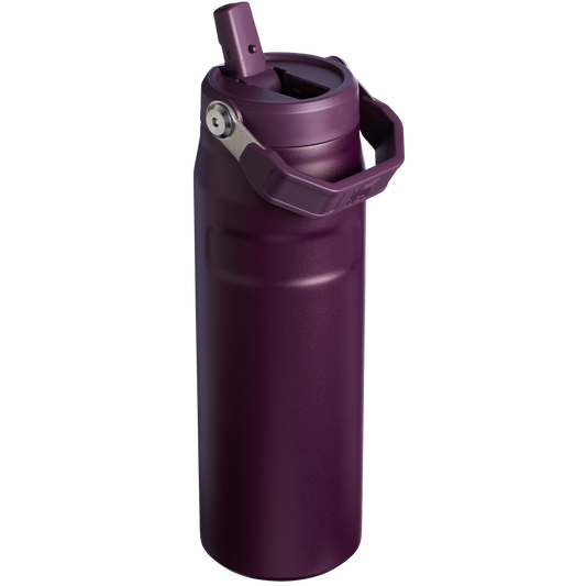 THE ICEFLOW™ BOTTLE WITH FLIP STRAW LID | 24 OZ