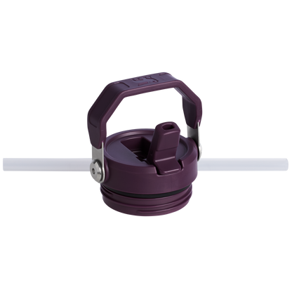 THE ICEFLOW™ BOTTLE WITH FLIP STRAW LID | 24 OZ