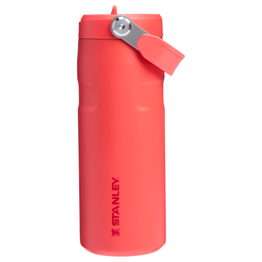 THE ICEFLOW™ BOTTLE WITH FLIP STRAW LID | 16 OZ
