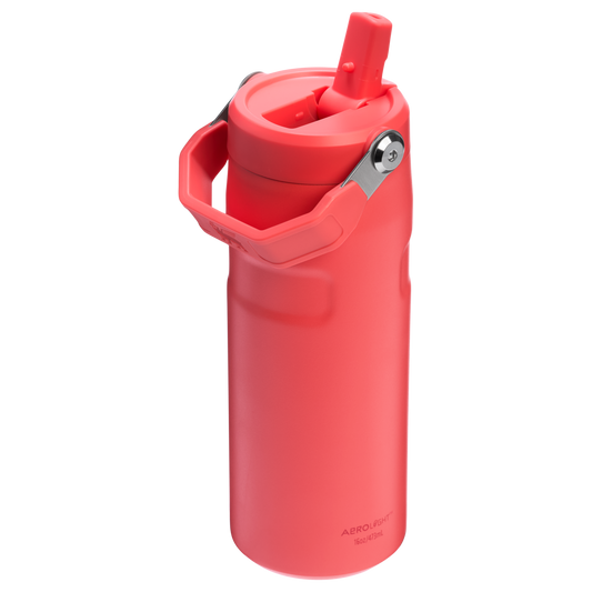 THE ICEFLOW™ BOTTLE WITH FLIP STRAW LID | 16 OZ