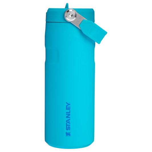 THE ICEFLOW™ BOTTLE WITH FLIP STRAW LID | 16 OZ