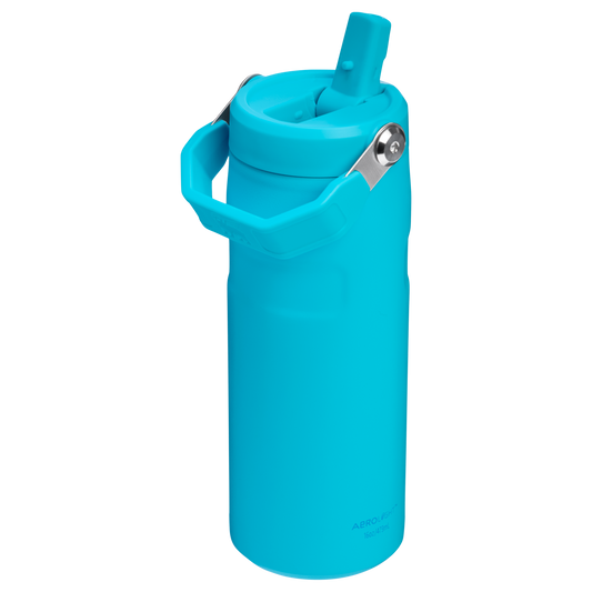THE ICEFLOW™ BOTTLE WITH FLIP STRAW LID | 16 OZ