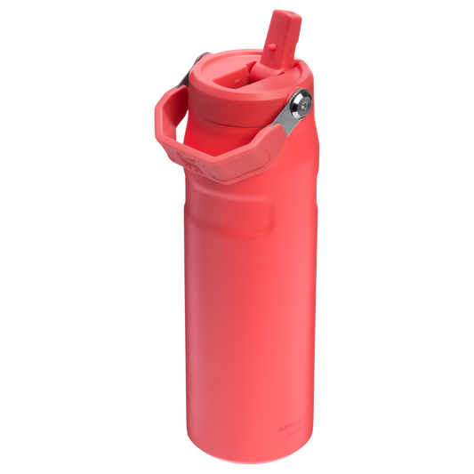 THE ICEFLOW™ BOTTLE WITH FLIP STRAW LID | 24 OZ