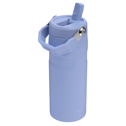 THE ICEFLOW™ BOTTLE WITH FLIP STRAW LID | 24 OZ