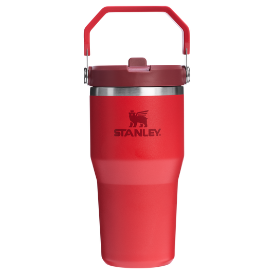 THE ICEFLOW™ FLIP STRAW TUMBLER | 20 OZ