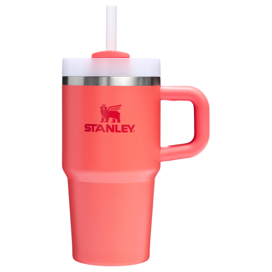 THE QUENCHER H2.O FLOWSTATE™ TUMBLER | 20 OZ