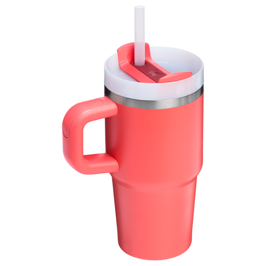 THE QUENCHER H2.O FLOWSTATE™ TUMBLER | 20 OZ