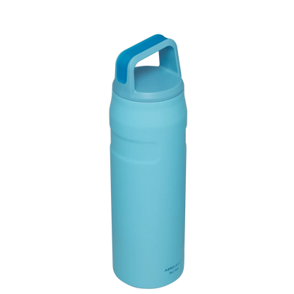 ICEFLOW™ BOTTLE WITH CAP AND CARRY+ LID | 24 OZ