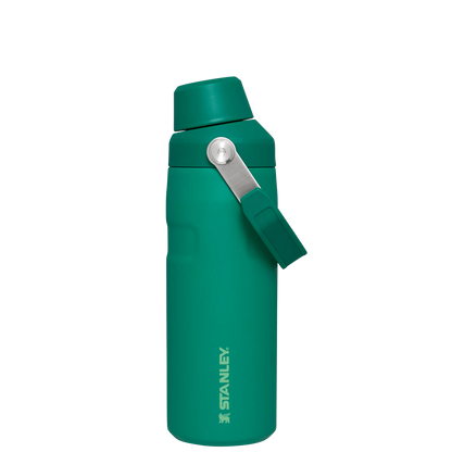 ICEFLOW™ BOTTLE WITH FAST FLOW LID | 16 OZ
